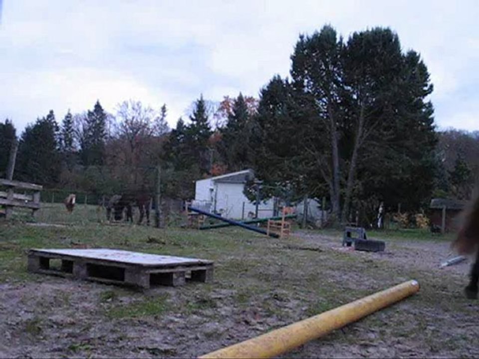 11.12 obstacle freest !