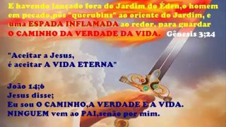 Eu chamo os anjos,arcanjos,querubins,serafins e toda igreja vencedora