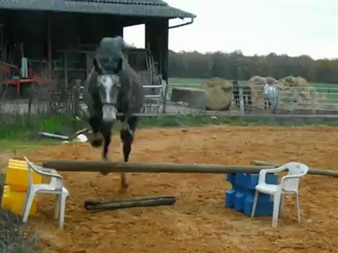Virvolt Saut oxer