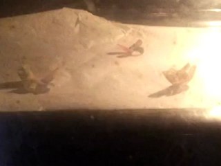 phase 2 la cuisson du plastique dingue