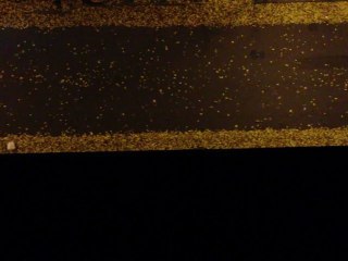 vélo un soir d'automne à Paris