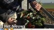 Uit Het Nieuws over treinongeluk Winsum [promo] - RTV Noord