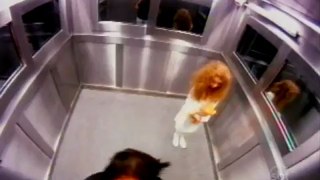 caméra cachée : Fantôme dans un ascenseur