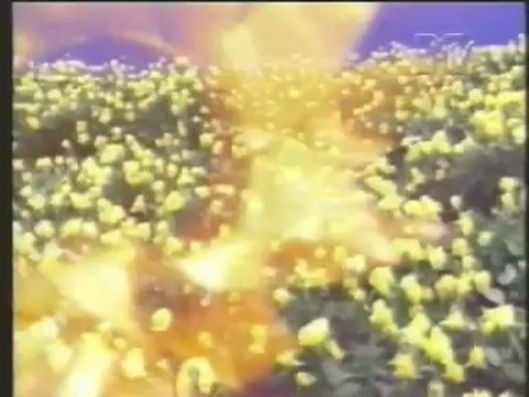 legião urbana matérias diversas mtv 9