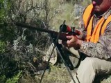 Rifle Tips: How to Shoot Better in the Field