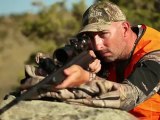 Mule Deer Hunting Tips: How to Pick the Right Cartridge