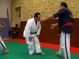 Forme spéciale de Mawashi Géri