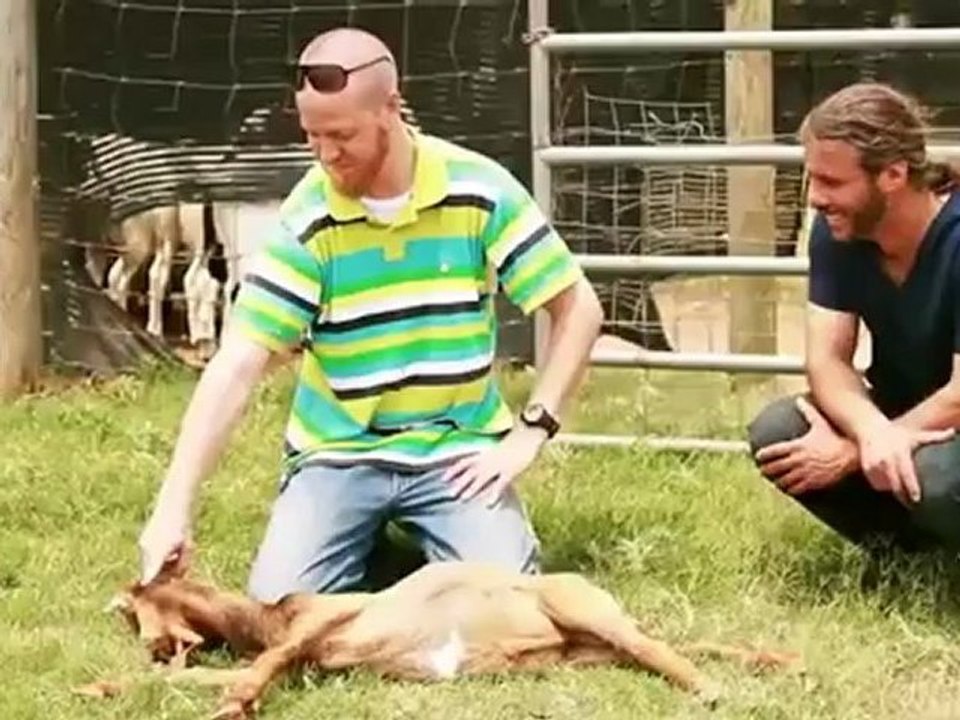 Mercy Halal Islamic Slaughter Part 2