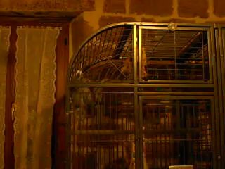 les prouts de Bambou