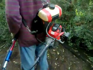 Recogida de olivas 2112-3.