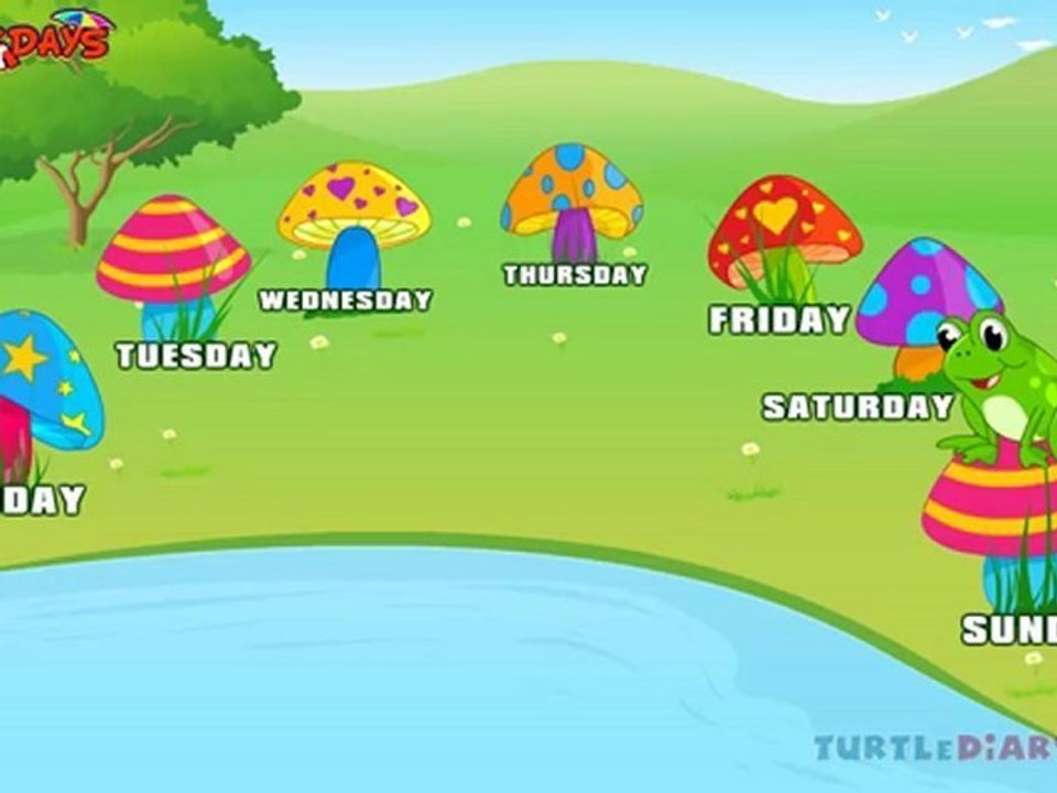 Weekdays
