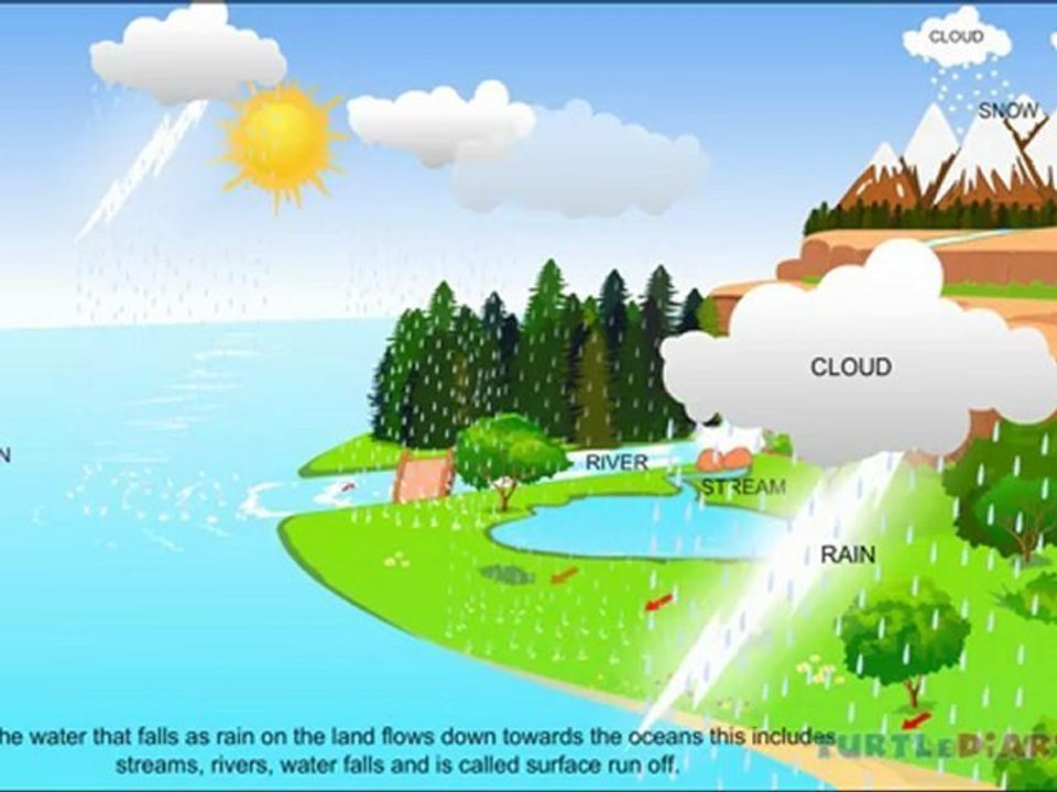 Water Cycle