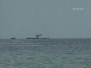 Passengers survive plane crash