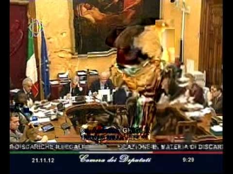 Roma - L'audizione del Ministro dell'Ambiente, Corrado Clini (21.11.12)