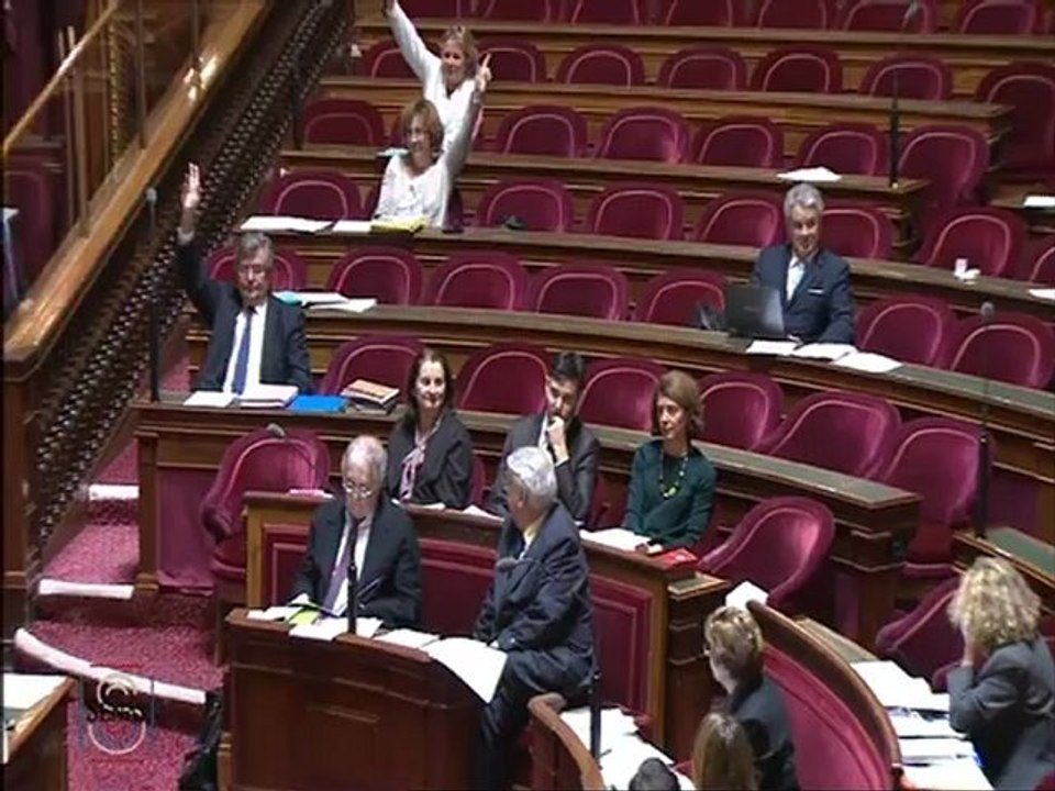 PPL visant a faciliter le transfert des biens sectionaux aux communes