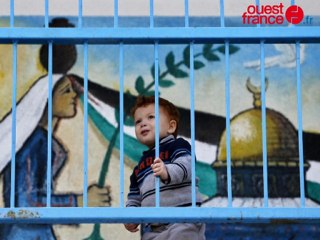 Un nouveau statut pour les Palestiniens à l'ONU