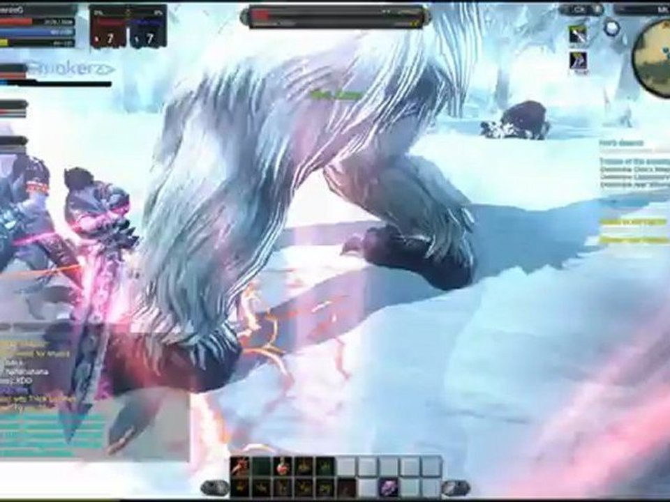 Raiderz Berserker VS Diego Boss lvl 23