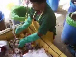 الدراسة من أجل حماية البيئة | أفكار عالمية