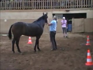 équifeel avec Titanic le 2 septembre 2012