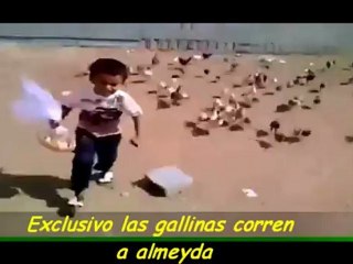 Exclusivo Las gallinas corren a almeyda y lo expulsan del monumental