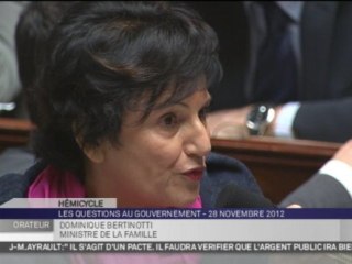Reportages : Vif échange entre Dominique Bertinotti et Marc Le Fur sur le mariage homosexuel