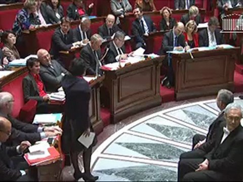 Dominique Bertinotti répond à l'intervention du député Le Fur sur le mariage pour tous