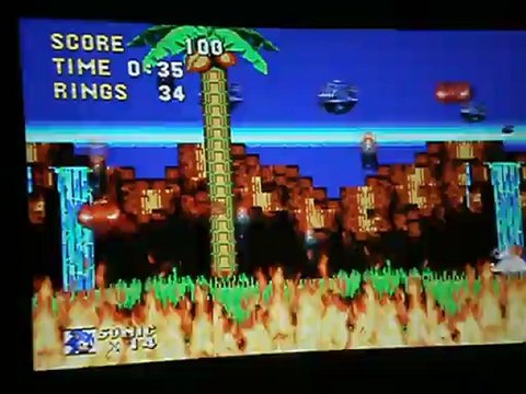 angel island 1 sonic 3 concours hooper try 2