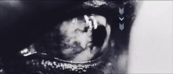 ARMY OF HARDCORE 2012