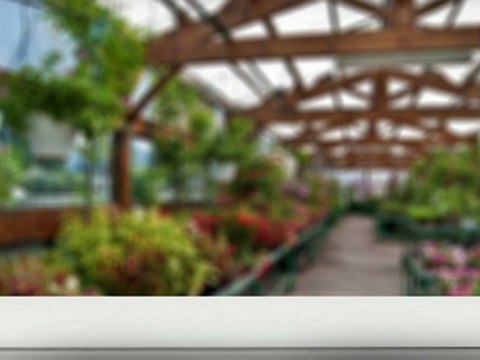 Optimiser un site Internet pour le référencement [Pack Trafic]