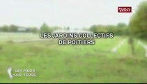 Les pieds sur terre: Jardins collectifs à Poitiers : le retour à la terre