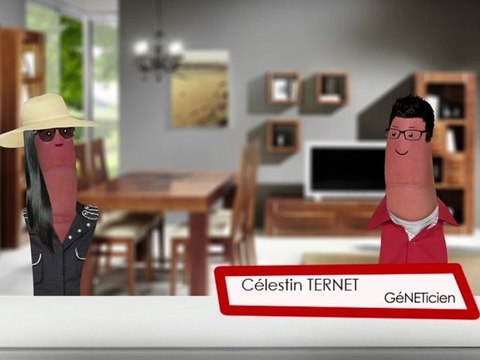 Les mises à jour automatiques, à quoi ça sert ? [Securitoo AntiVirus Firewall NordNet]