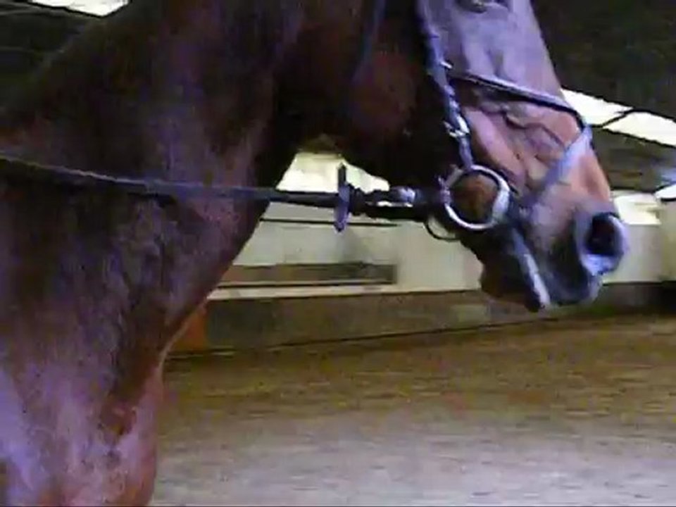 Ferven Toussonnais - C'était la dernière...