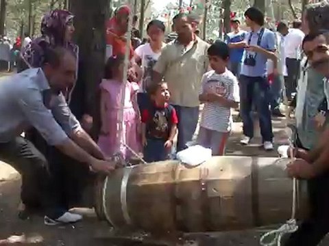 Sivas Koyulhisar Karaçam Köyü