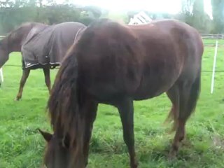 01.11.2012.i.gericaut