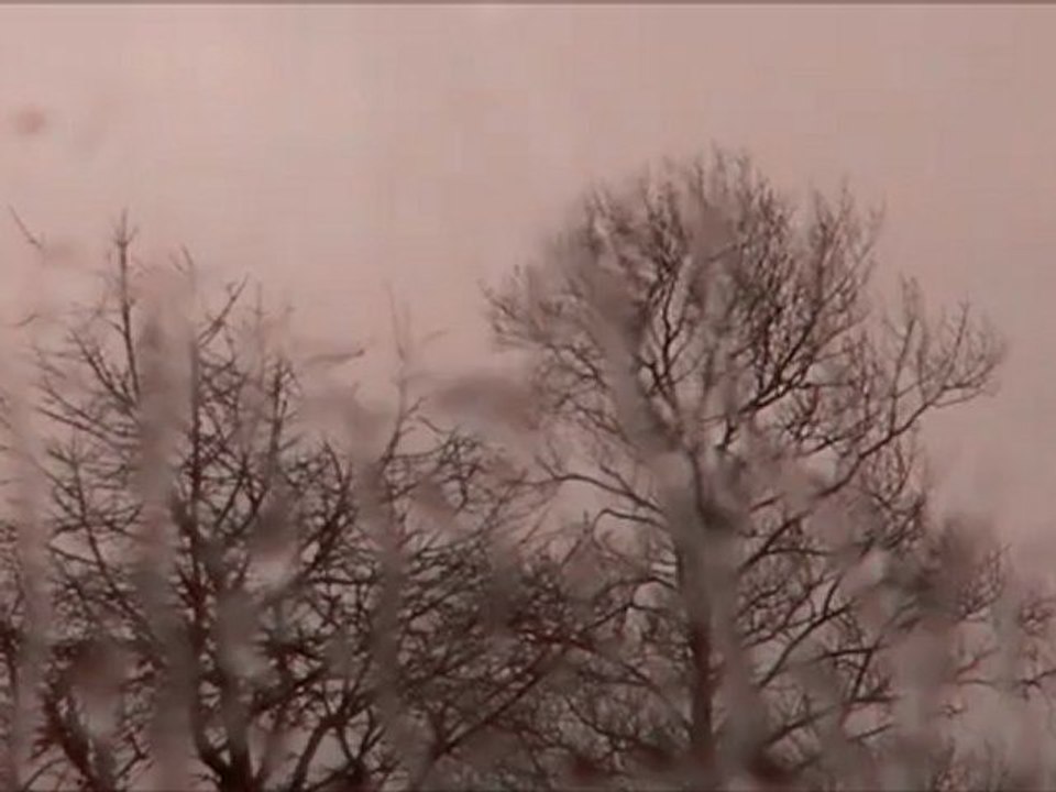 The Rain Song
