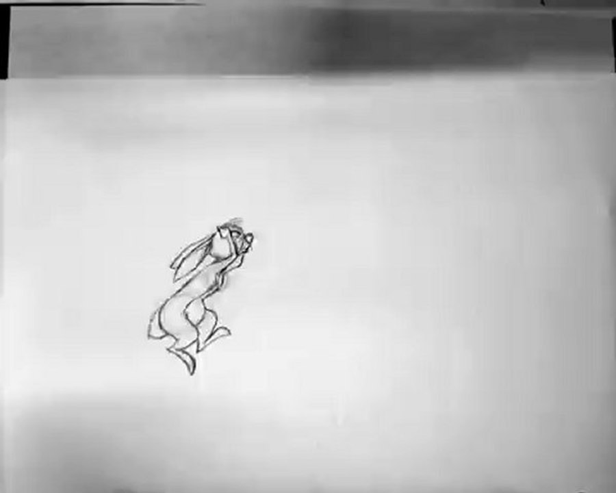 Animation coco lapin