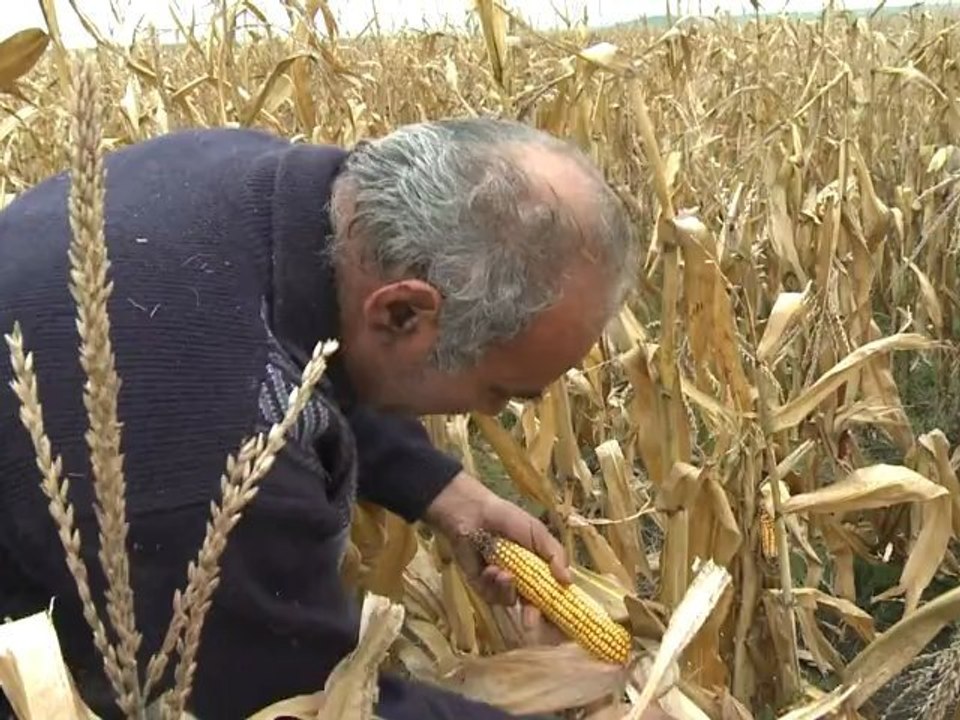 Escándalo por tierras en Hungría