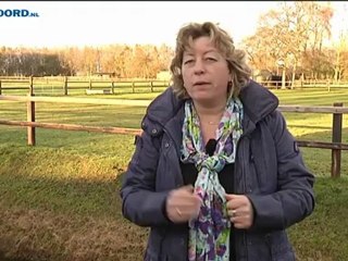 Het Weer [28-11-2012] - RTV Noord