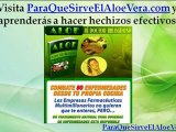 Propiedades del Aloe Vera en la Piel