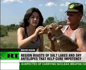 Birdlife diminishing in Russias southern wetlands