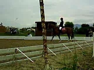 dressage décibelle