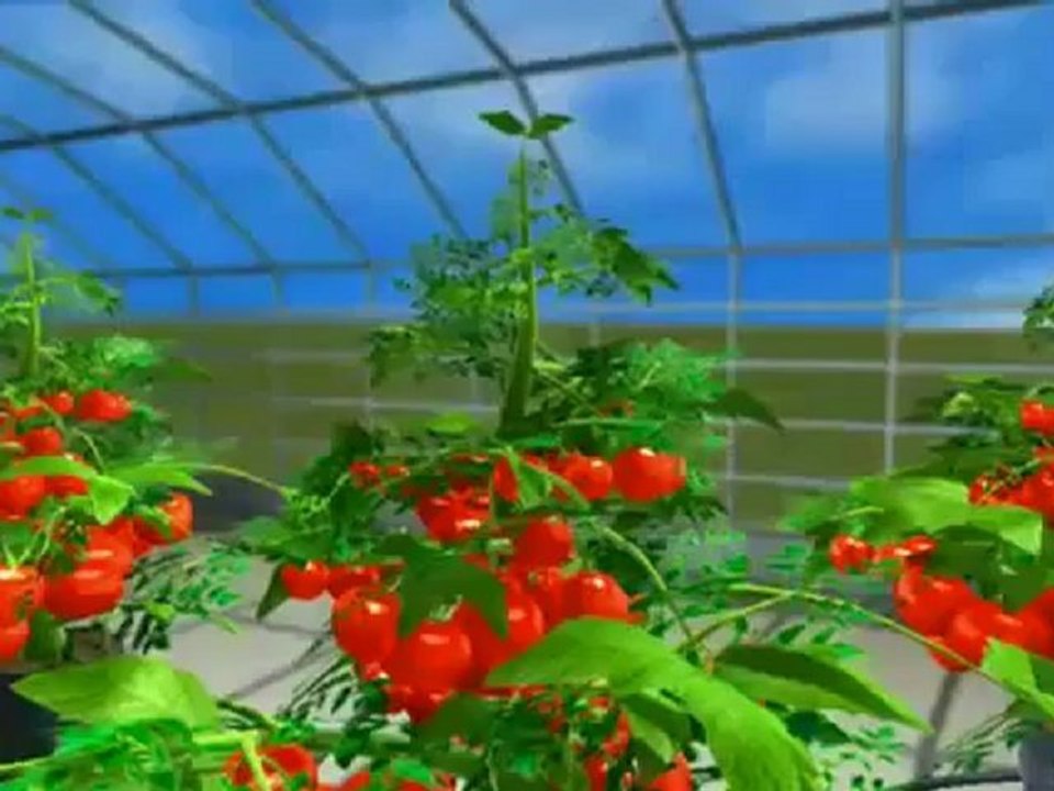 Advanced Nutrients pH Perfect Technology