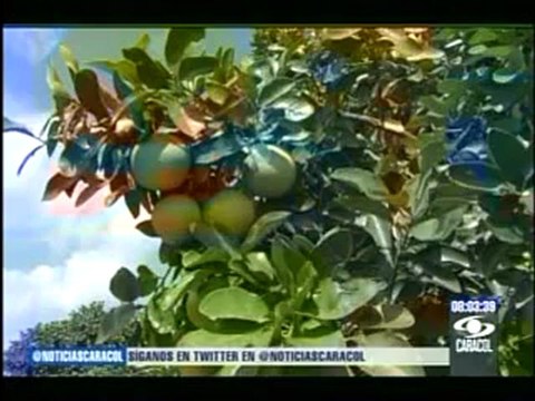 NOTICIAS CARACOL-28NOV 001_clip1