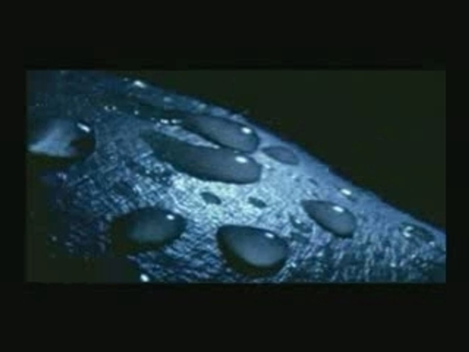 Yamaha FZS 1000 Fazer