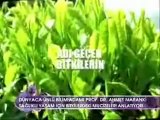 Ahmet Maranki - Mucizevi Bitkiler - Show TV - Her Şey Dahil