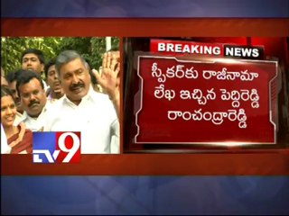 Peddireddy submits resignation to speaker