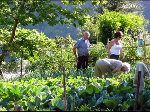 Témoignage partie 3- Albert Maynard, habitant d’Isola, vallée de la Tinée – Corpus ‘’Parc National du Mercantour’’