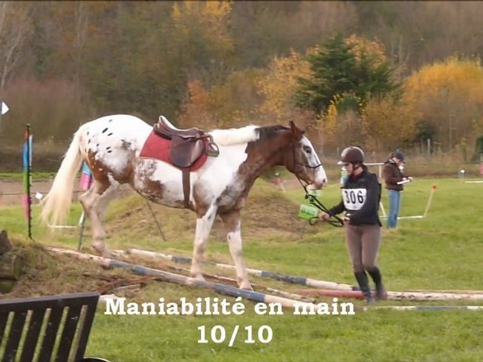 Spéciale PTV individuel, Amateur Elite