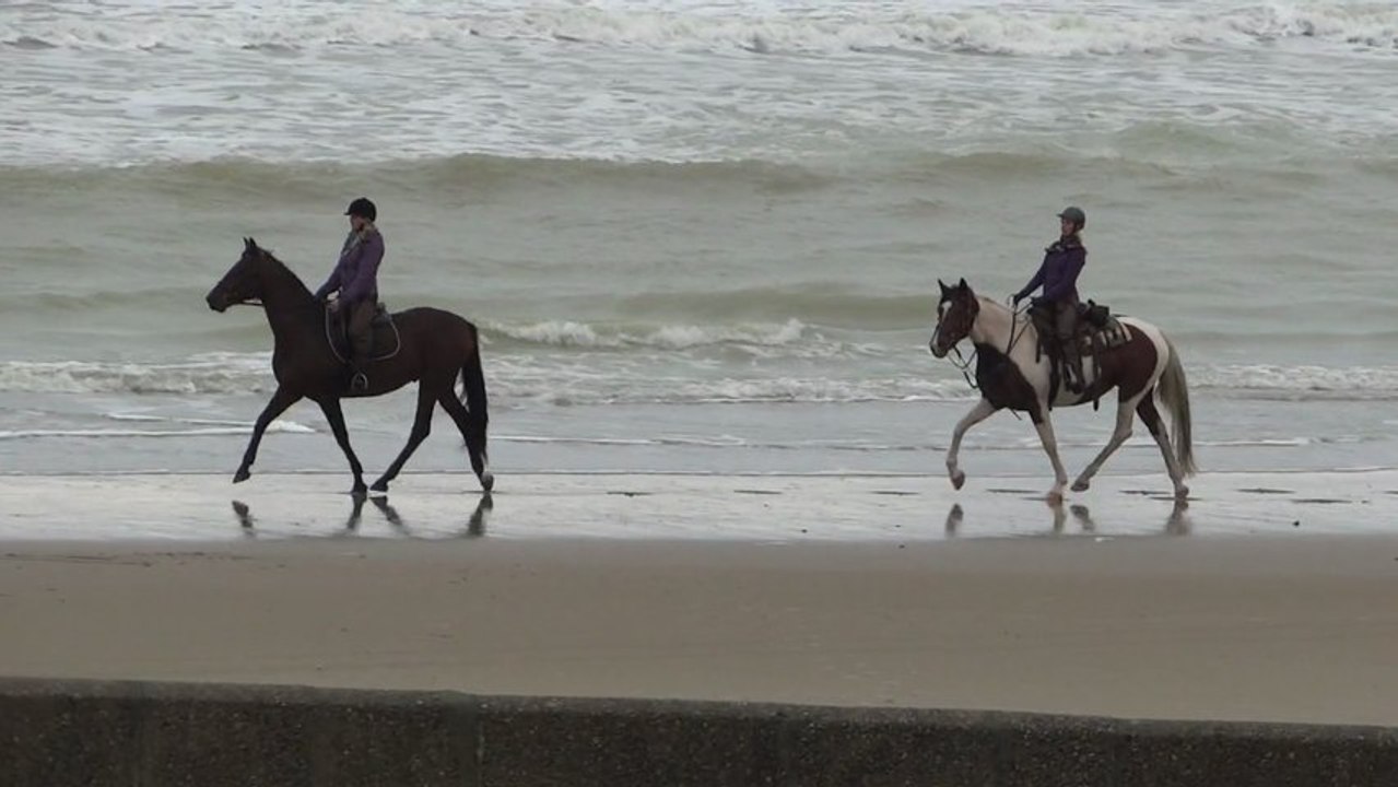le ciel est gris la mer est verte