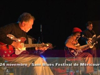 Fil de l'Actu - le Sam Blues Festival de Méricourt 2012